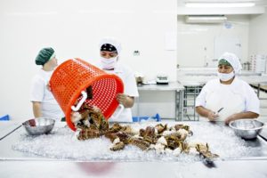 Fiskefabrik – Honduras